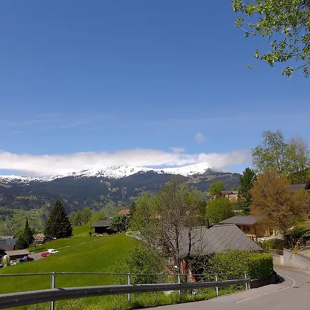 Marmota Daire Grindelwald