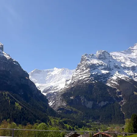 Marmota Grindelwald